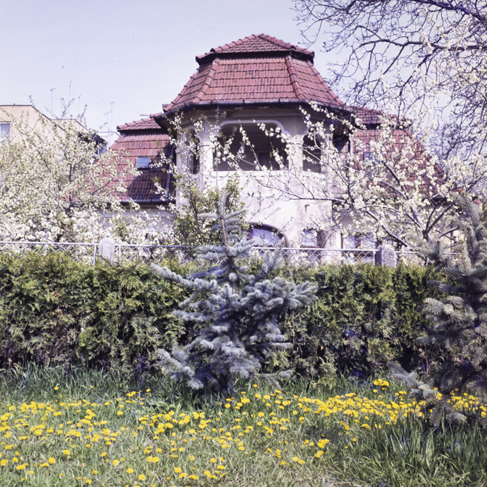 minerva_dn_1977_2238_flori_003