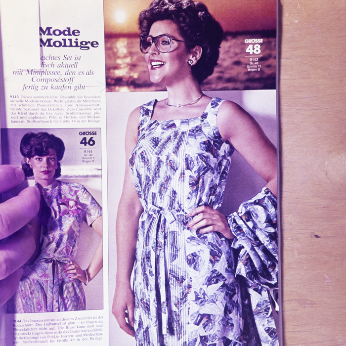 minerva_dn_1977_2242_reproduceri_001