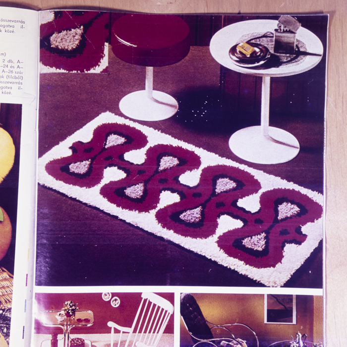 minerva_dn_1977_2242_reproduceri_002