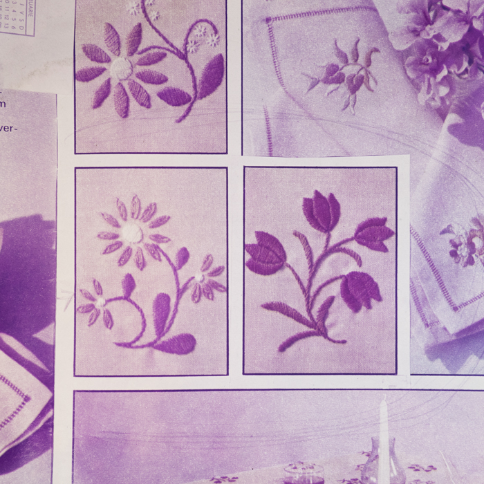 minerva_dn_1977_2242_reproduceri_006