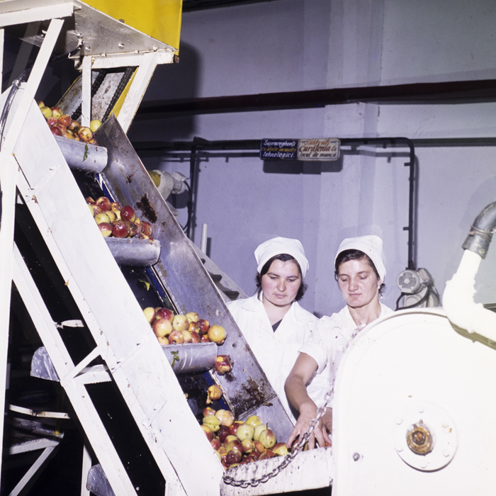 minerva_dn_1977_2244_conzerve_de_fructe_si_legume_dej001