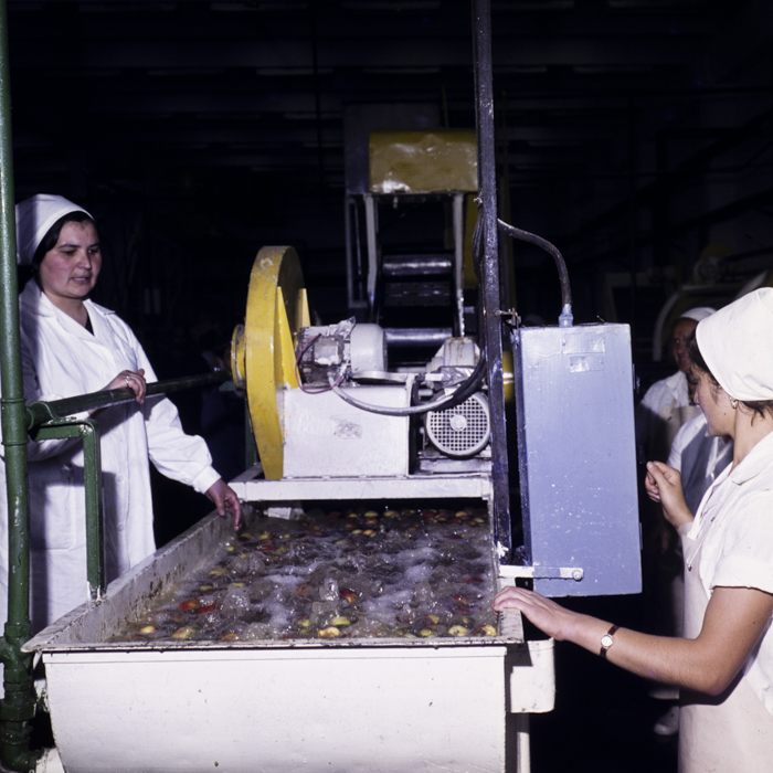 minerva_dn_1977_2244_conzerve_de_fructe_si_legume_dej002