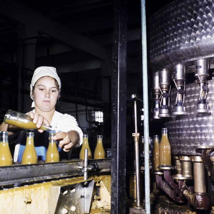 minerva_dn_1977_2244_conzerve_de_fructe_si_legume_dej003