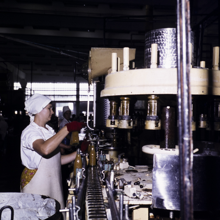 minerva_dn_1977_2244_conzerve_de_fructe_si_legume_dej004