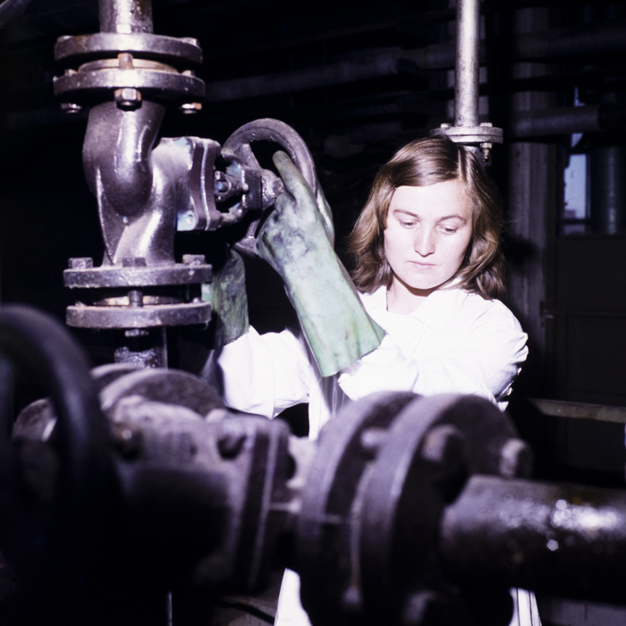 minerva_dn_1977_2245_sinteza_oradea_007