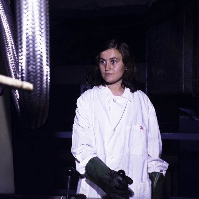 minerva_dn_1977_2245_sinteza_oradea_009