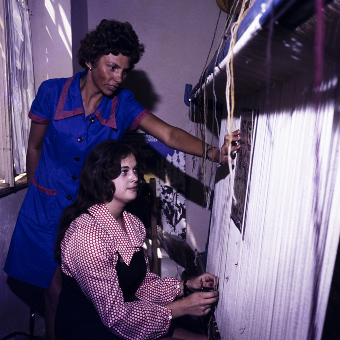 minerva_dn_1977_2247_covoare_salvita_001