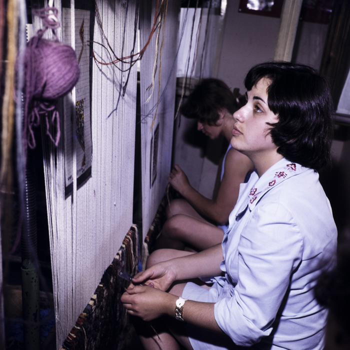 minerva_dn_1977_2247_covoare_salvita_002