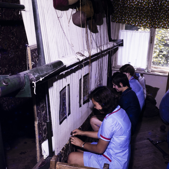 minerva_dn_1977_2247_covoare_salvita_004