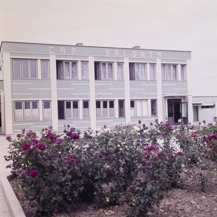 minerva_dn_1977_2248_C.A.P_salonta_005