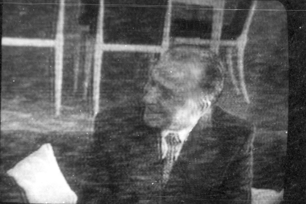 minerva_dn_1977_2253_pictorita_0015