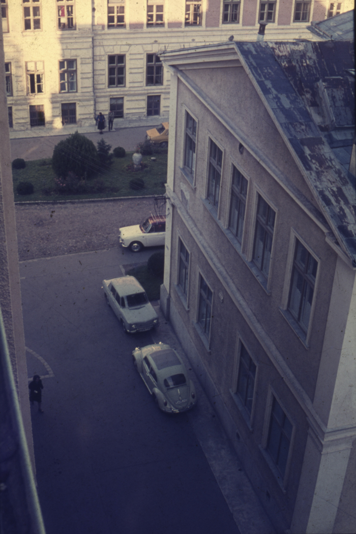 minerva_dn_1977_2253_pictorita_0020