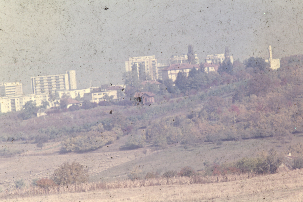 minerva_dn_1977_2253_pictorita_0021