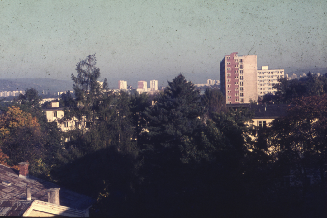 minerva_dn_1977_2253_pictorita_0023