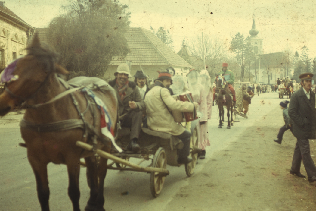 minerva_dn_1977_2253_pictorita_0028