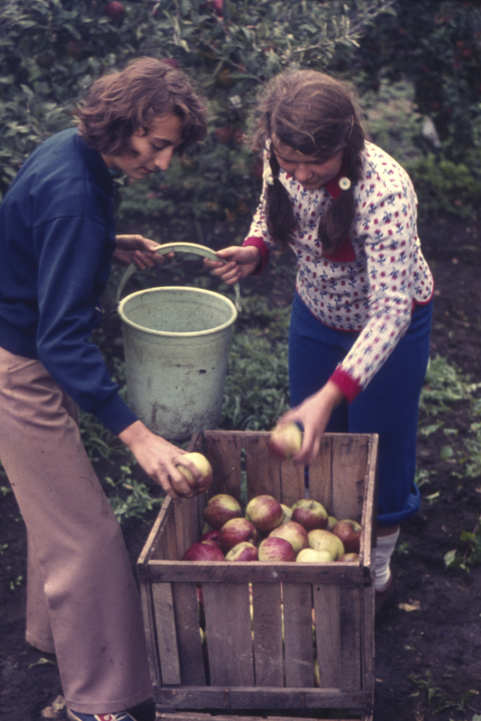 minerva_dn_1977_2253_pictorita_0035