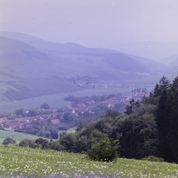 minerva_dn_1977_2257_cap_tarlungeni_jud_brasov_001