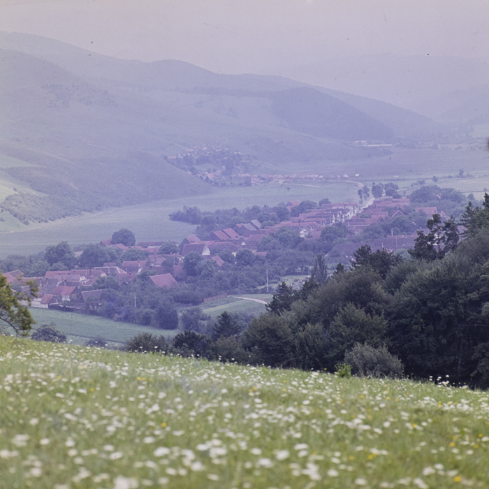 minerva_dn_1977_2257_cap_tarlungeni_jud_brasov_003
