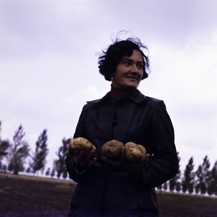 minerva_dn_1977_2257_cap_tarlungeni_jud_brasov_006