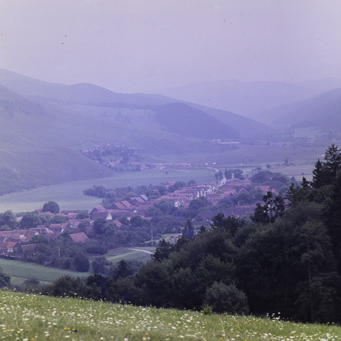 minerva_dn_1977_2257_cap_tarlungeni_jud_brasov_015