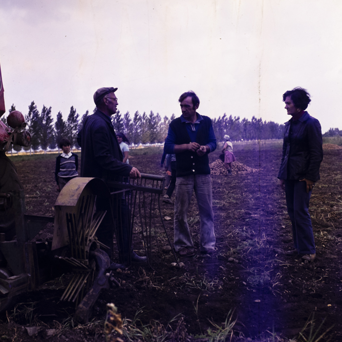 minerva_dn_1977_2257_cap_tarlungeni_jud_brasov_016