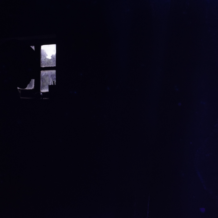 minerva_dn_1977_2257_cap_tarlungeni_jud_brasov_017