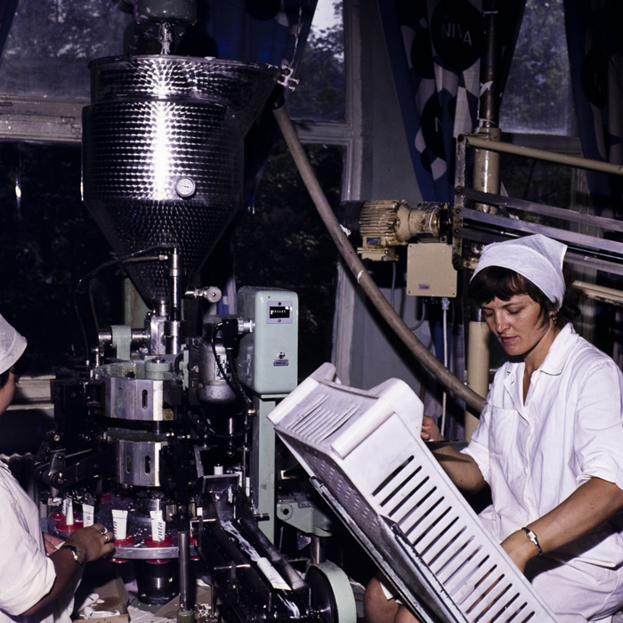 minerva_dn_1977_2258_nivea_brasov_001