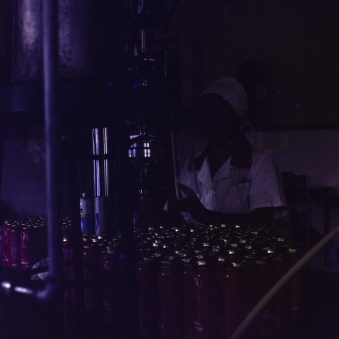 minerva_dn_1977_2258_nivea_brasov_004