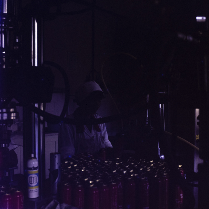 minerva_dn_1977_2258_nivea_brasov_005