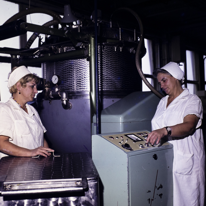 minerva_dn_1977_2258_nivea_brasov_006