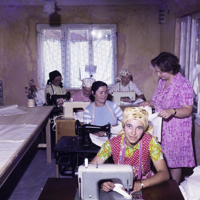 minerva_dn_1977_2262_c.a.p_mocani_001