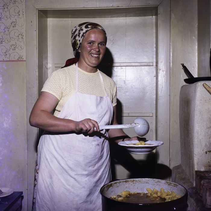 minerva_dn_1977_2262_c.a.p_mocani_002