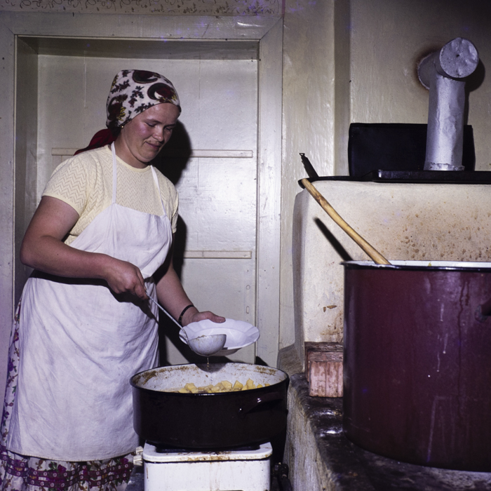 minerva_dn_1977_2262_c.a.p_mocani_003