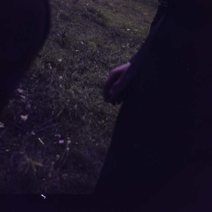 minerva_dn_1977_2264_doina_limbasanu_002