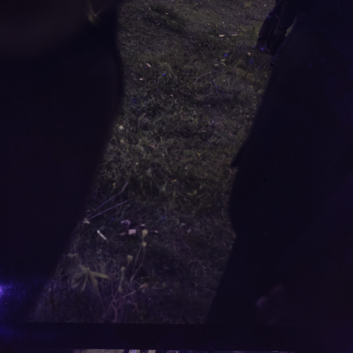 minerva_dn_1977_2264_doina_limbasanu_004