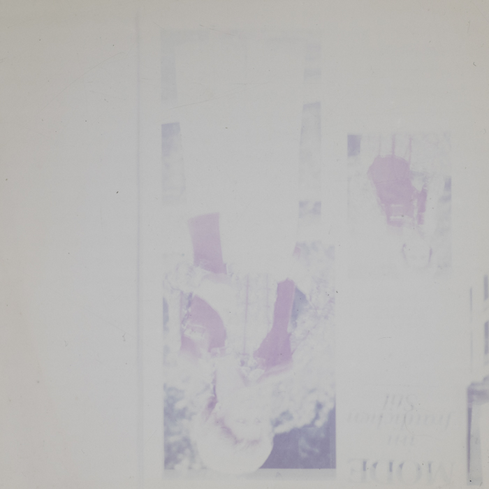 minerva_dn_1977_2271_reproduceri_005