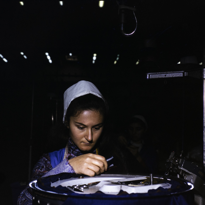 minerva_dn_1977_2289_tricodava_bucuresti_003