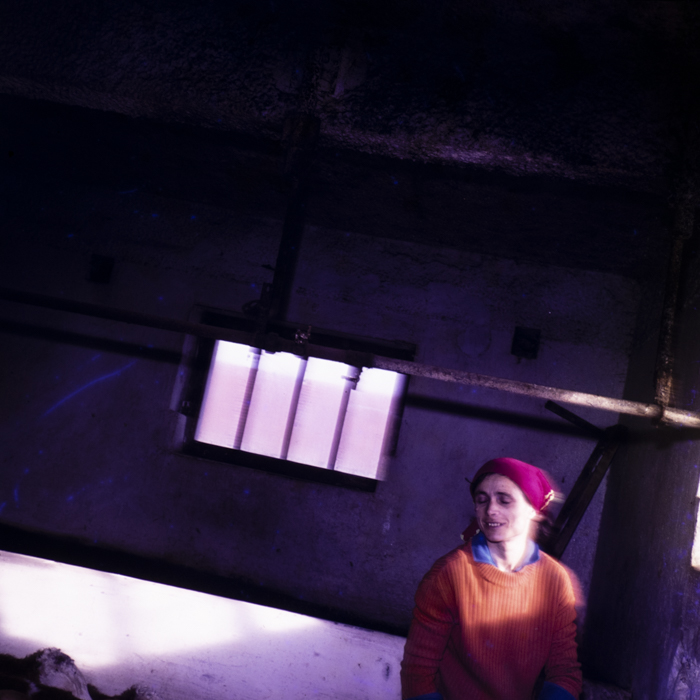 minerva_dn_1977_2291_cap_cristian_busoi_001