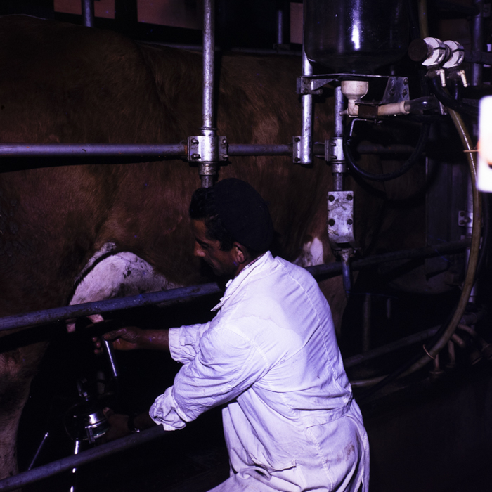 minerva_dn_1977_2291_cap_cristian_busoi_004