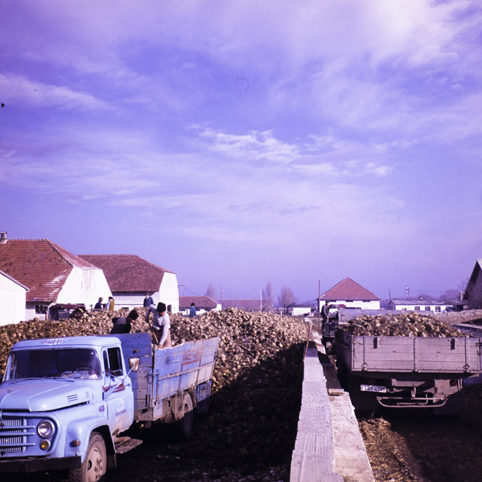 minerva_dn_1977_2291_cap_cristian_busoi_005