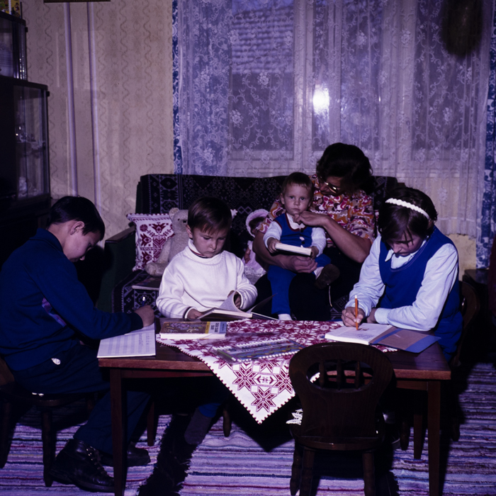 minerva_dn_1977_2294_savadisla_001