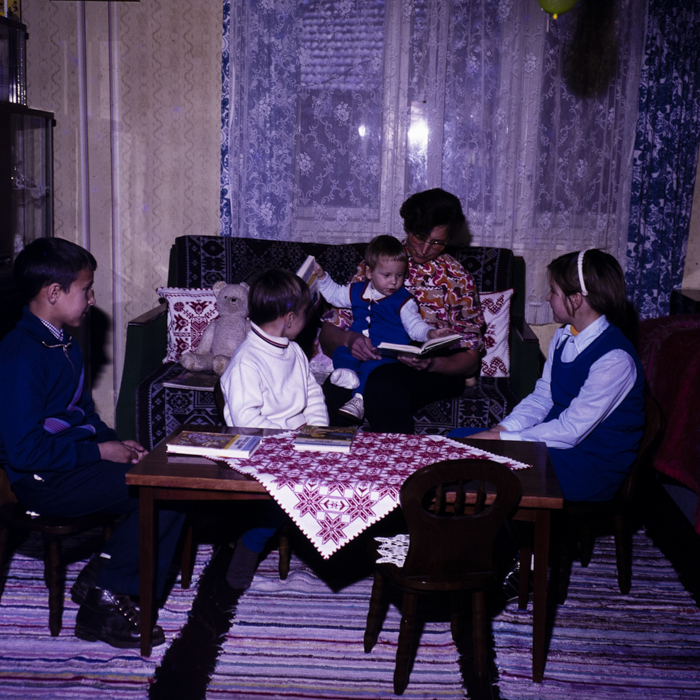 minerva_dn_1977_2294_savadisla_002