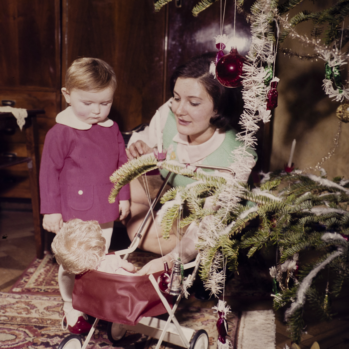 minerva_dn_1977_2297_pom_de_iarna_002