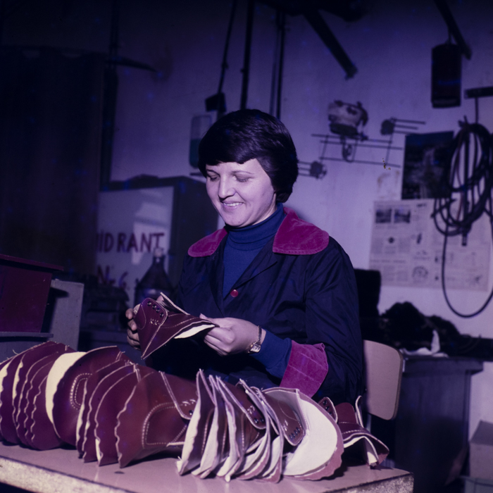 minerva_dn_1977_2425_aspecte_004