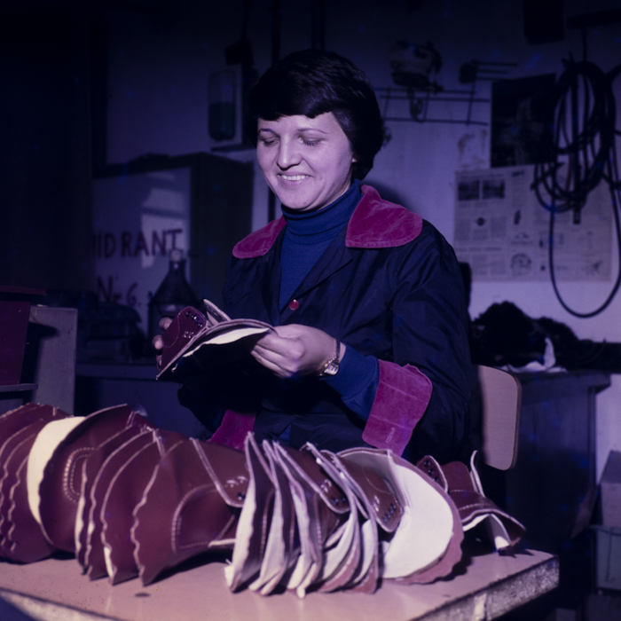 minerva_dn_1977_2425_aspecte_005