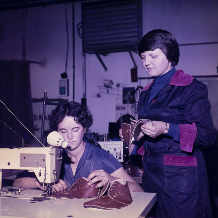 minerva_dn_1977_2425_aspecte_006