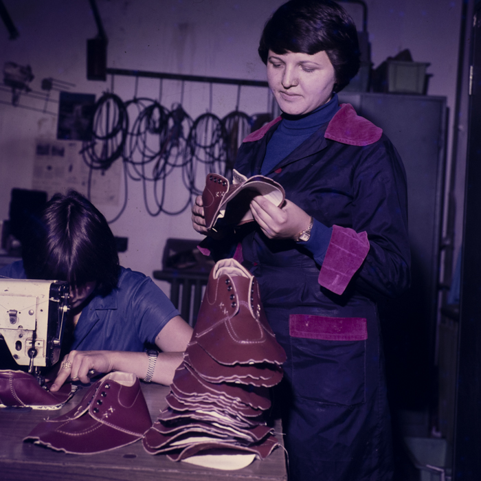 minerva_dn_1977_2425_aspecte_007