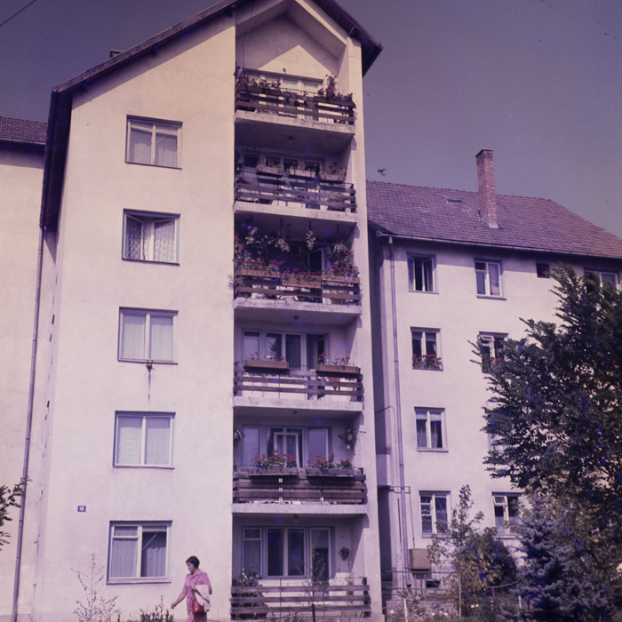 minerva_dn_1977_2425_aspecte_010