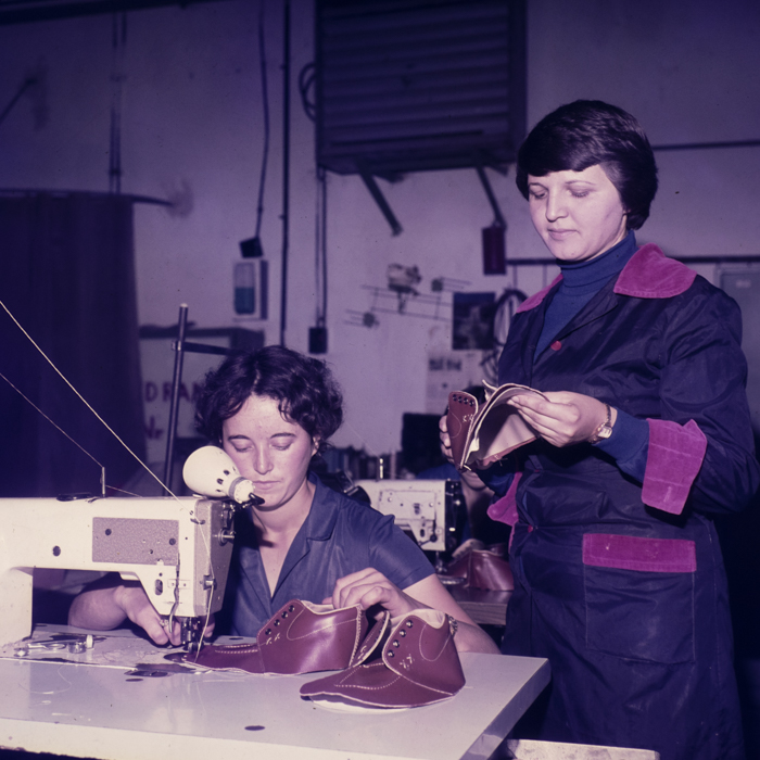 minerva_dn_1977_2425_aspecte_011