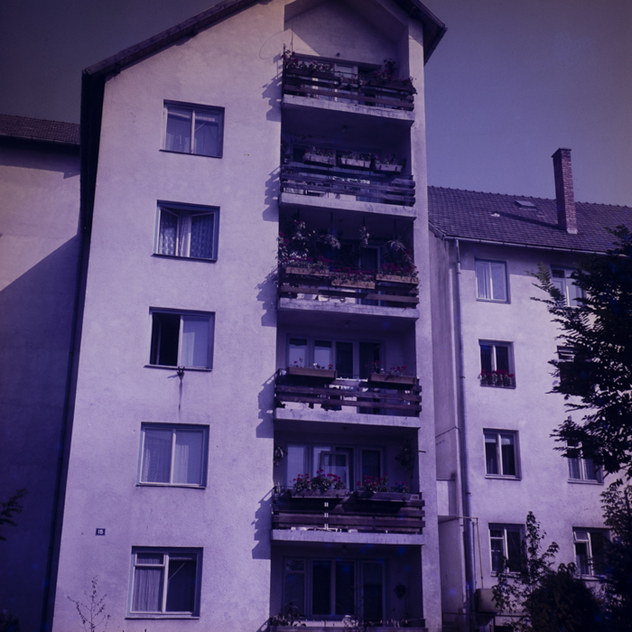 minerva_dn_1977_2425_aspecte_012